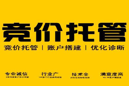 百度搜索推广实战技巧：成功案例启示录